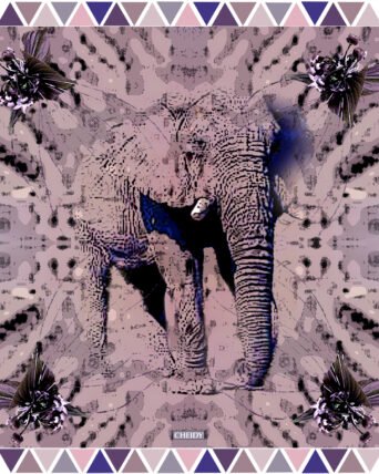Elephantasies | Indigo Xix