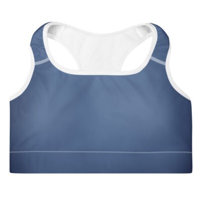 indigo sports bra