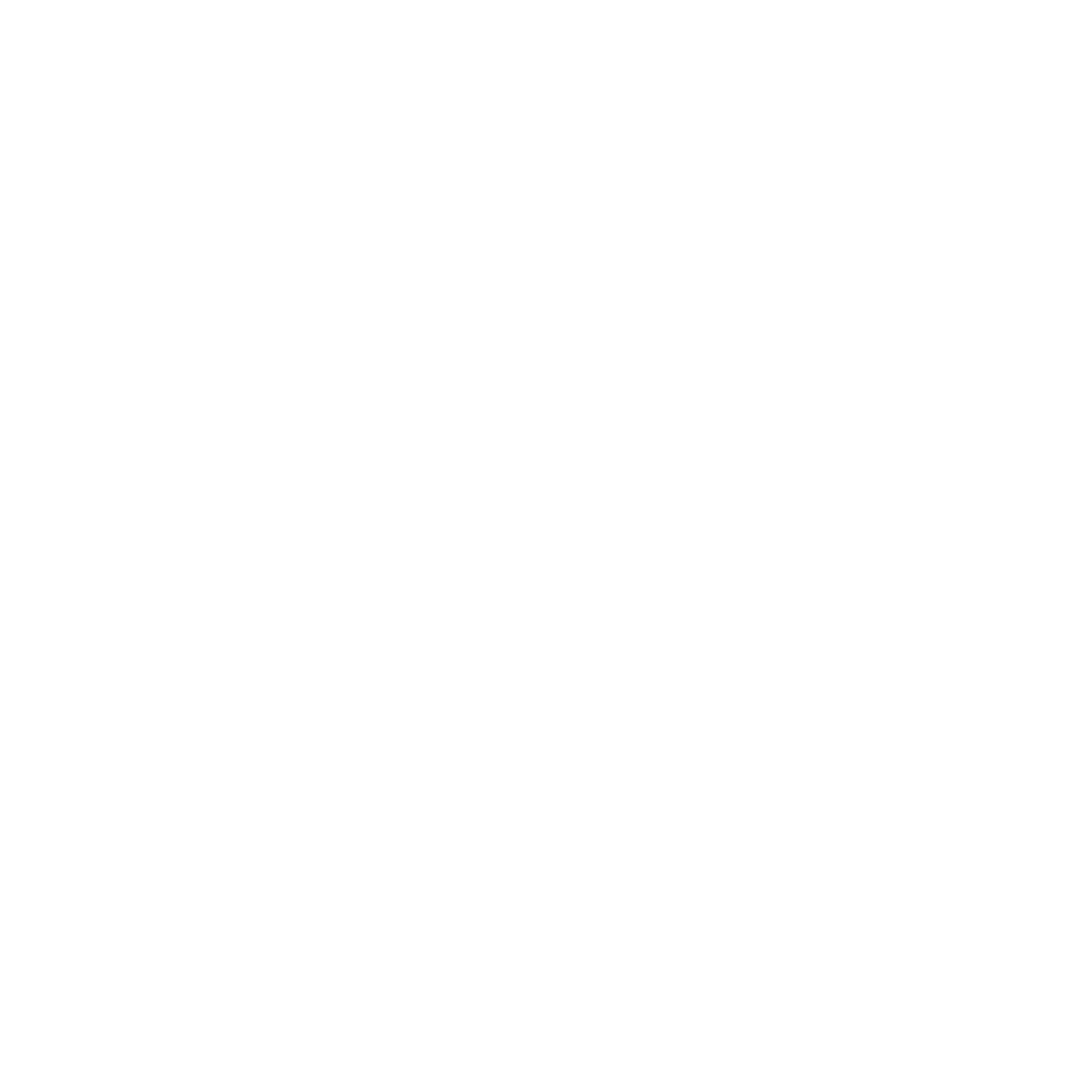 logo light